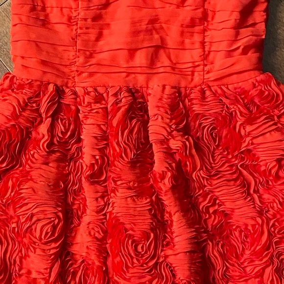 H&M NWT Red Rose minidress Sz 8 +6 - Picture 8 of 9
